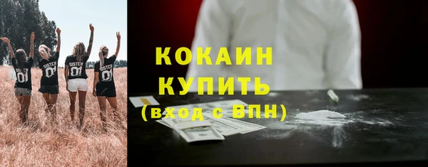 шишки Михайловск