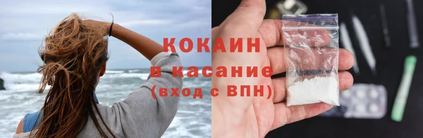 шишки Михайловск