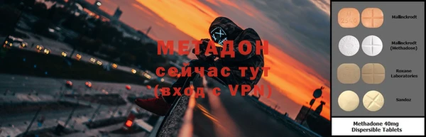 шишки Михайловск