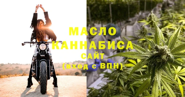 шишки Михайловск