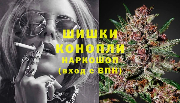 шишки Михайловск