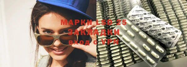 шишки Михайловск