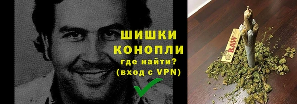 шишки Михайловск