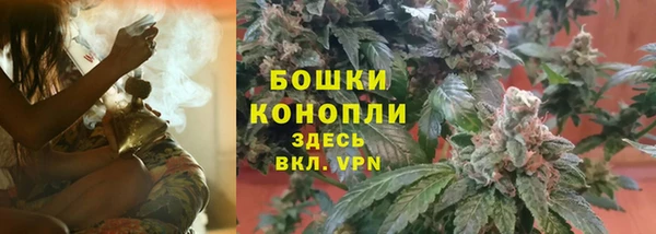 шишки Михайловск