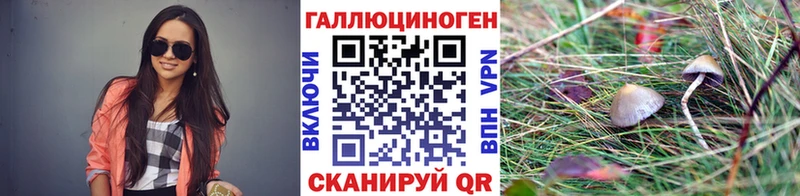 Псилоцибиновые грибы GOLDEN TEACHER  продажа наркотиков  Жуков 